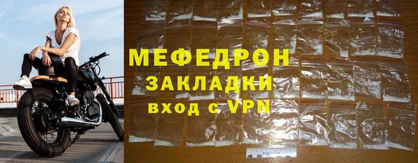 индика Белокуриха