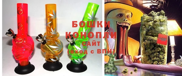 индика Белокуриха