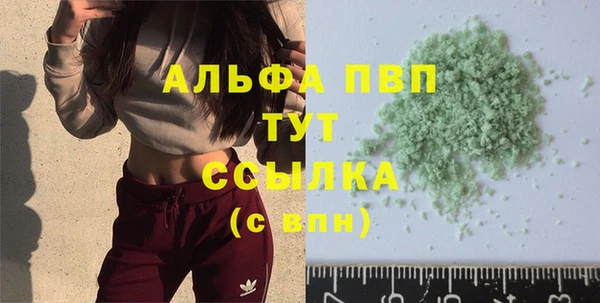 индика Белокуриха