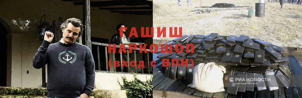 индика Белокуриха