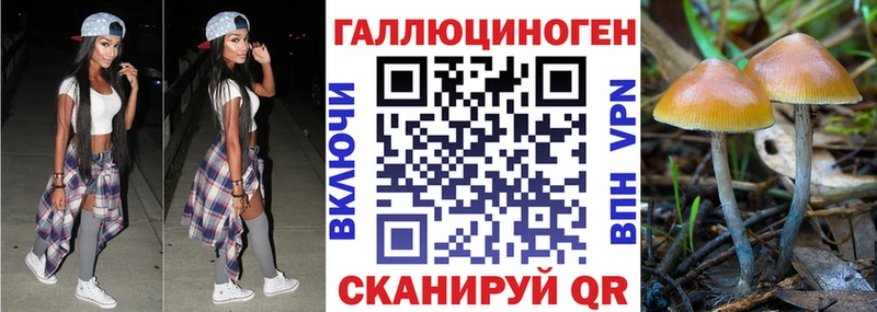 закладка  Демидов  МЕГА ССЫЛКА  Псилоцибиновые грибы мухоморы 